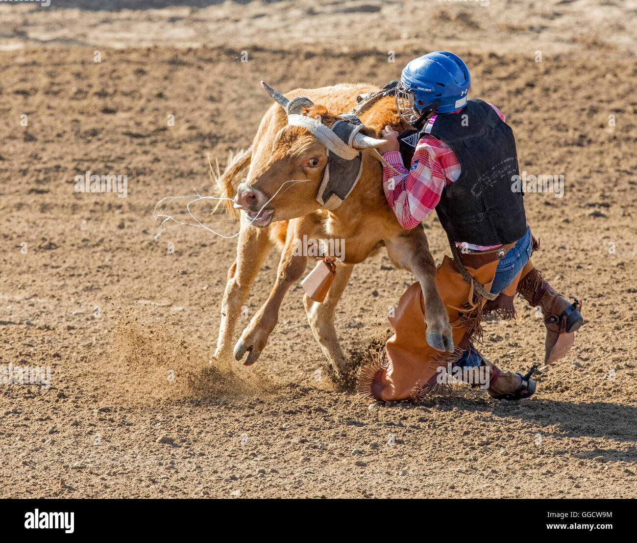 Young cowboy riding a small bull in the Junior Steer Riding competition, Chaffee County Fair & Rodeo, Salida, Colorado, USA Stock Photo