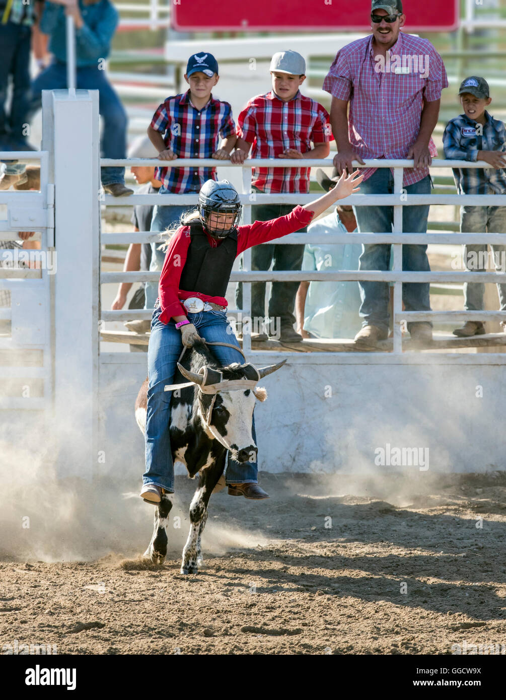 Horse trot up bucking hi-res stock photography and images - Alamy