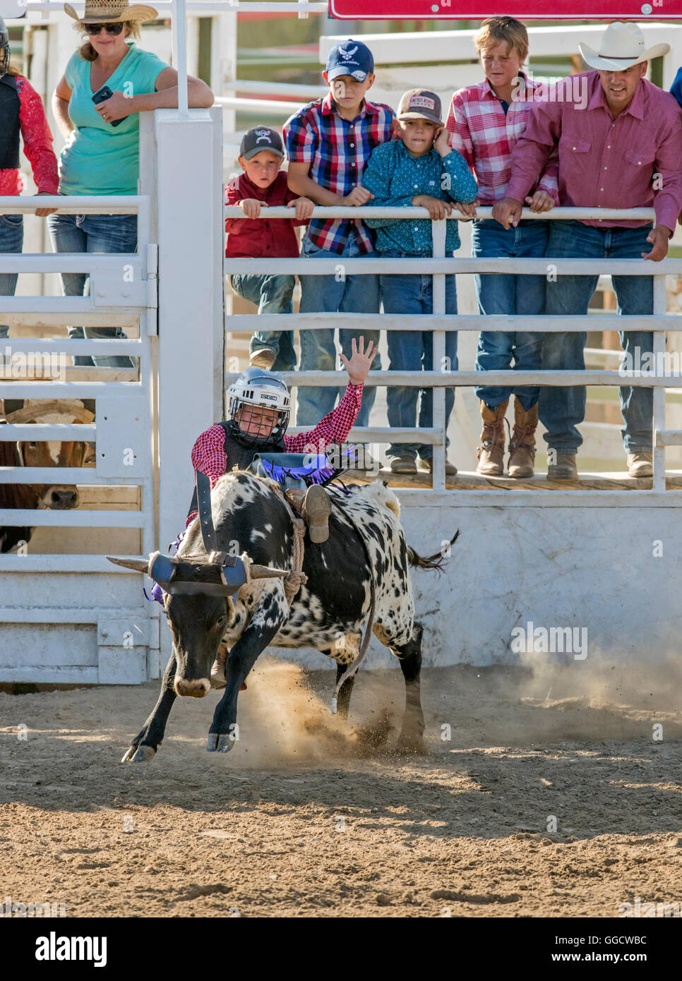 Young cowboy riding a small bull in the Junior Steer Riding competition