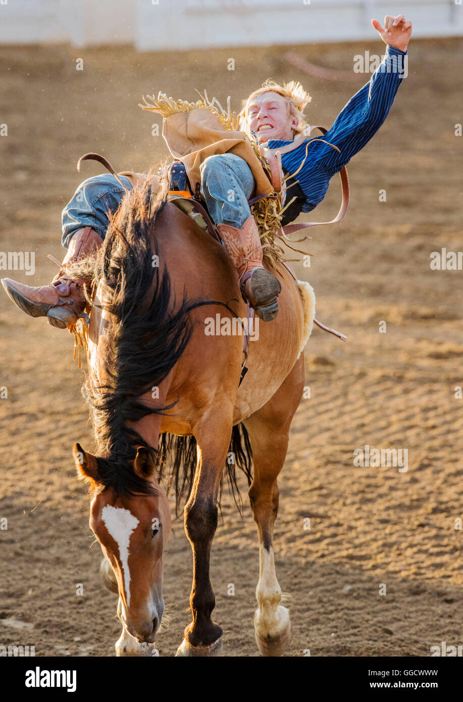 Rodeo Horse Rider Dare to hope horse hi-res stock photography and images - Alamy