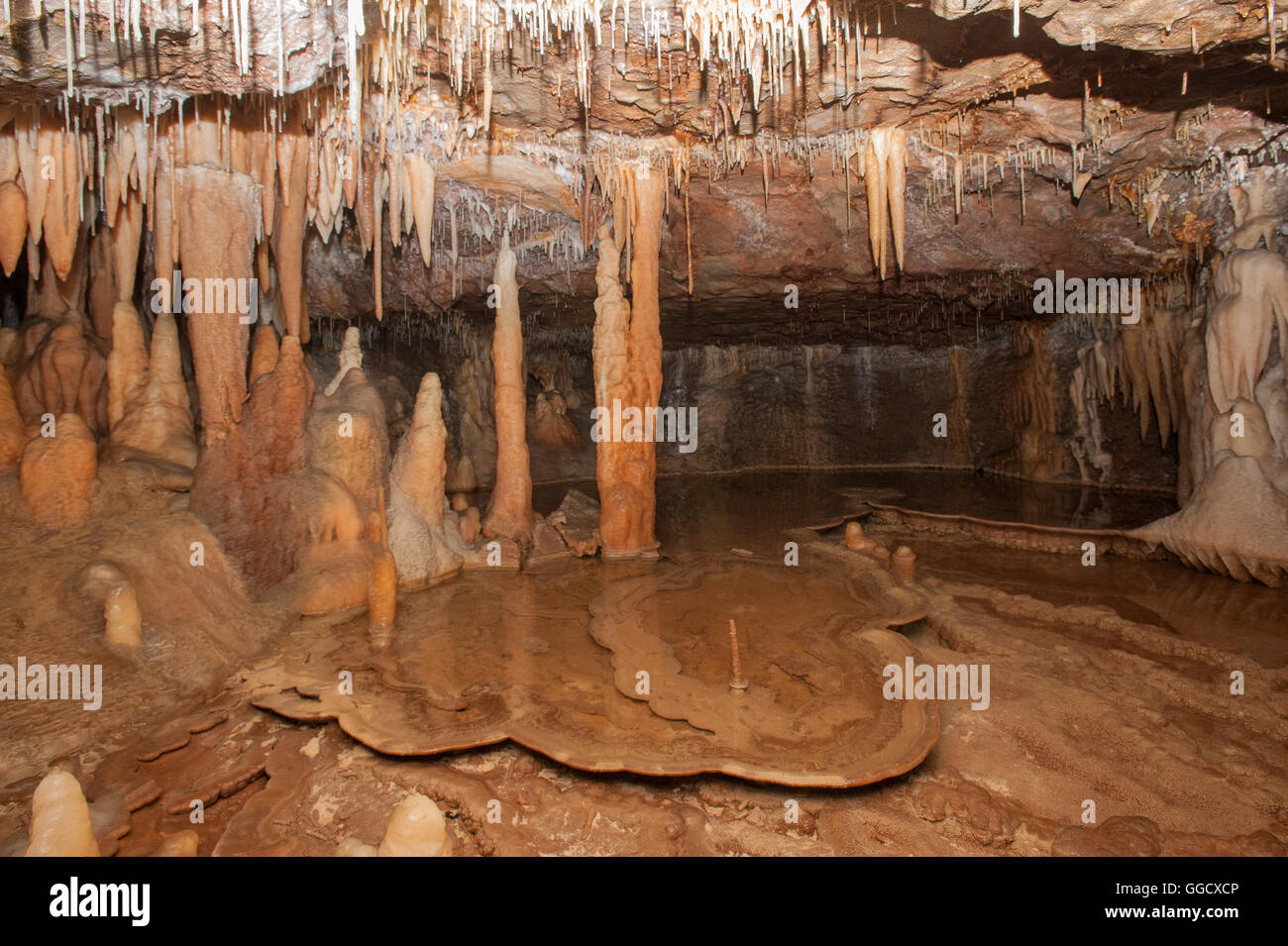 Limestone cave formations of Buchan Caves, Victoria, Australia Stock Photo Alamy