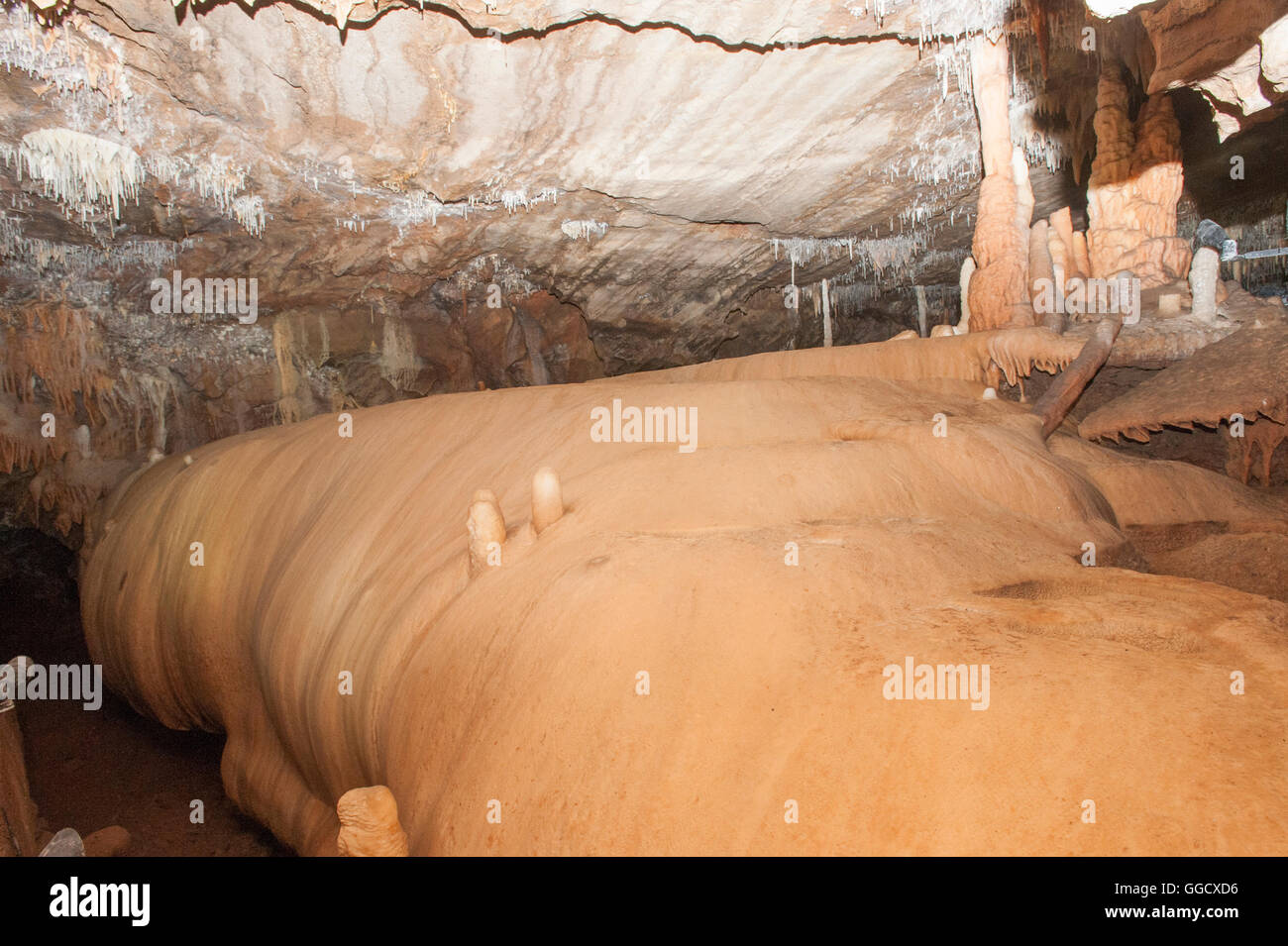 Limestone cave formations of Buchan Caves, Victoria, Australia Stock Photo Alamy