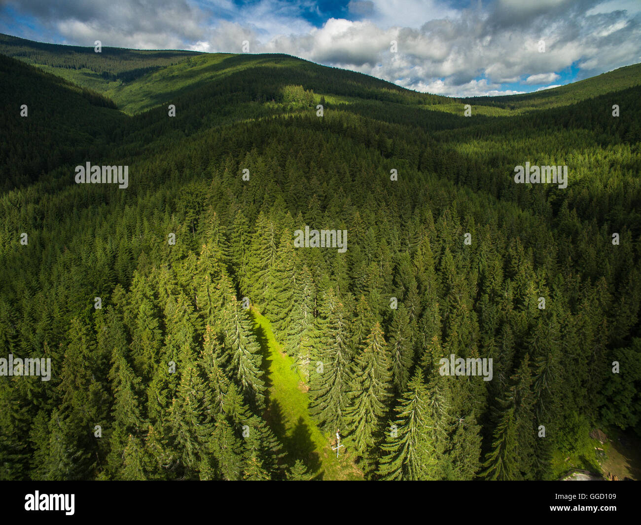 Aerial flight over autumn coniferous hi-res stock photography and ...