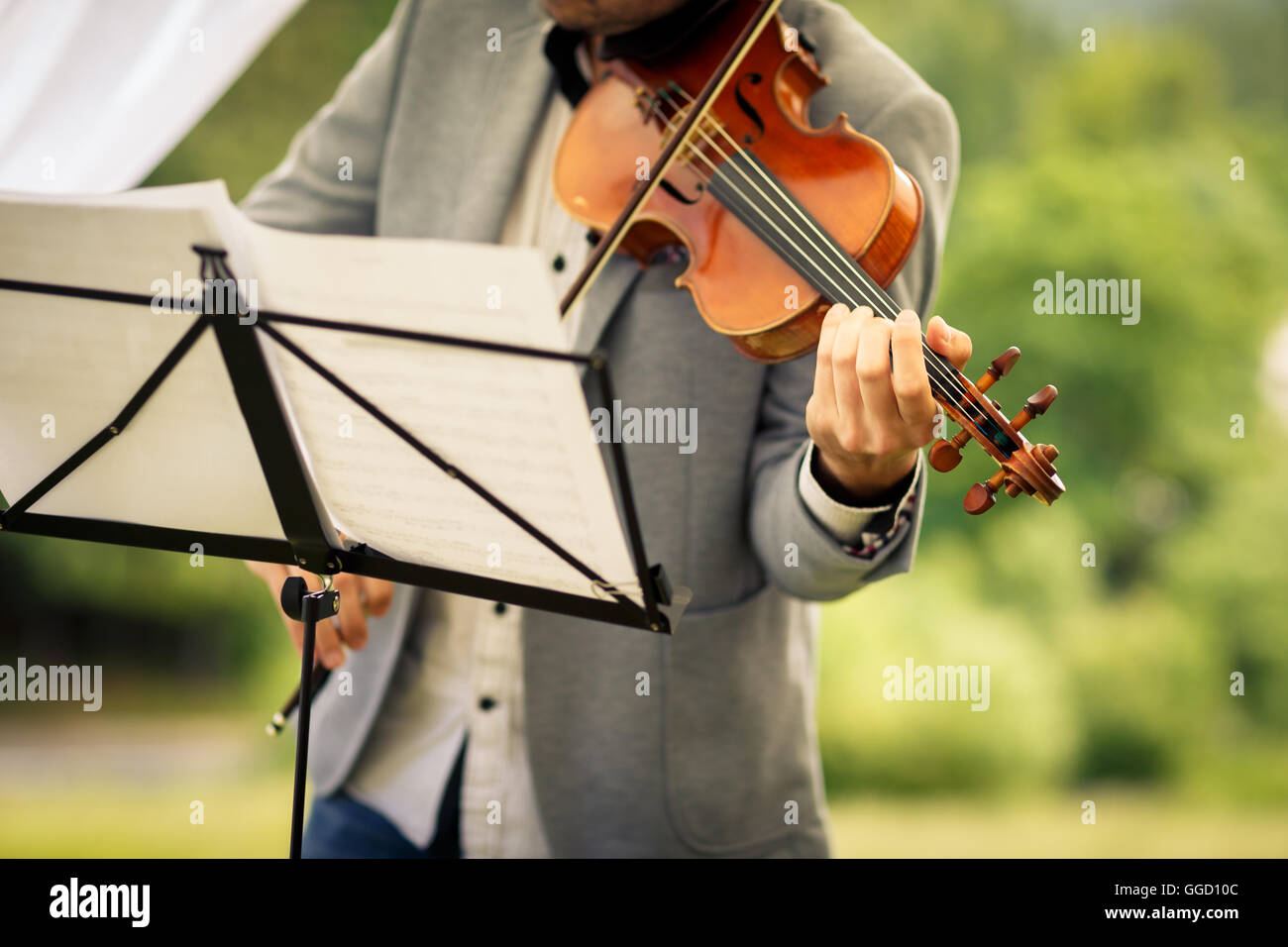 Male violinist playing his instrument and reading a music sheet during