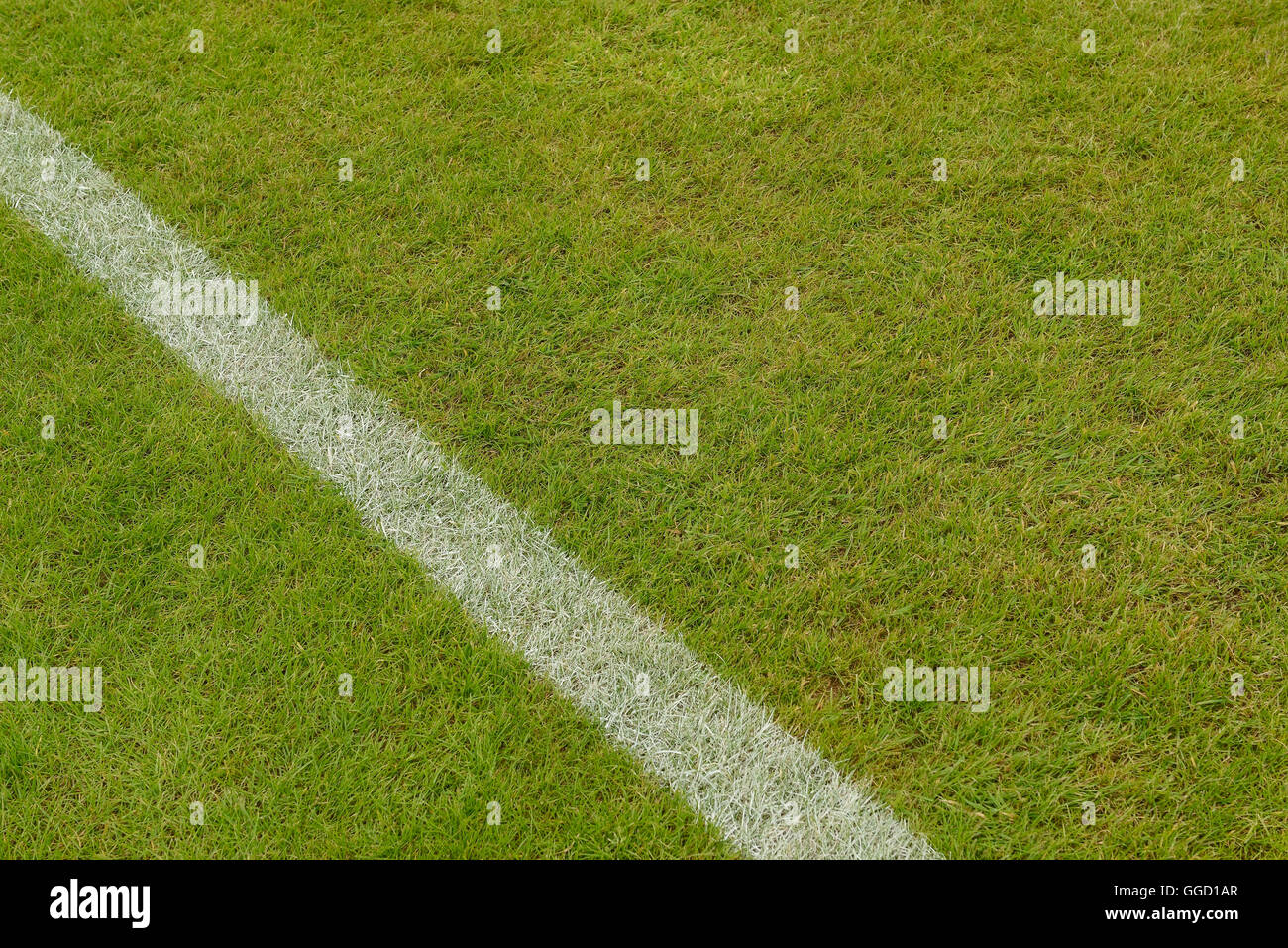 Grass on a sports field with a white painted line Stock Photo