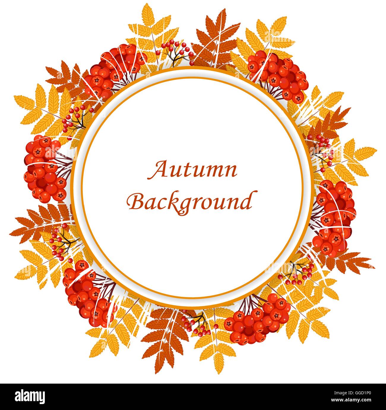Autumn rowan berries Stock Vector Images - Alamy