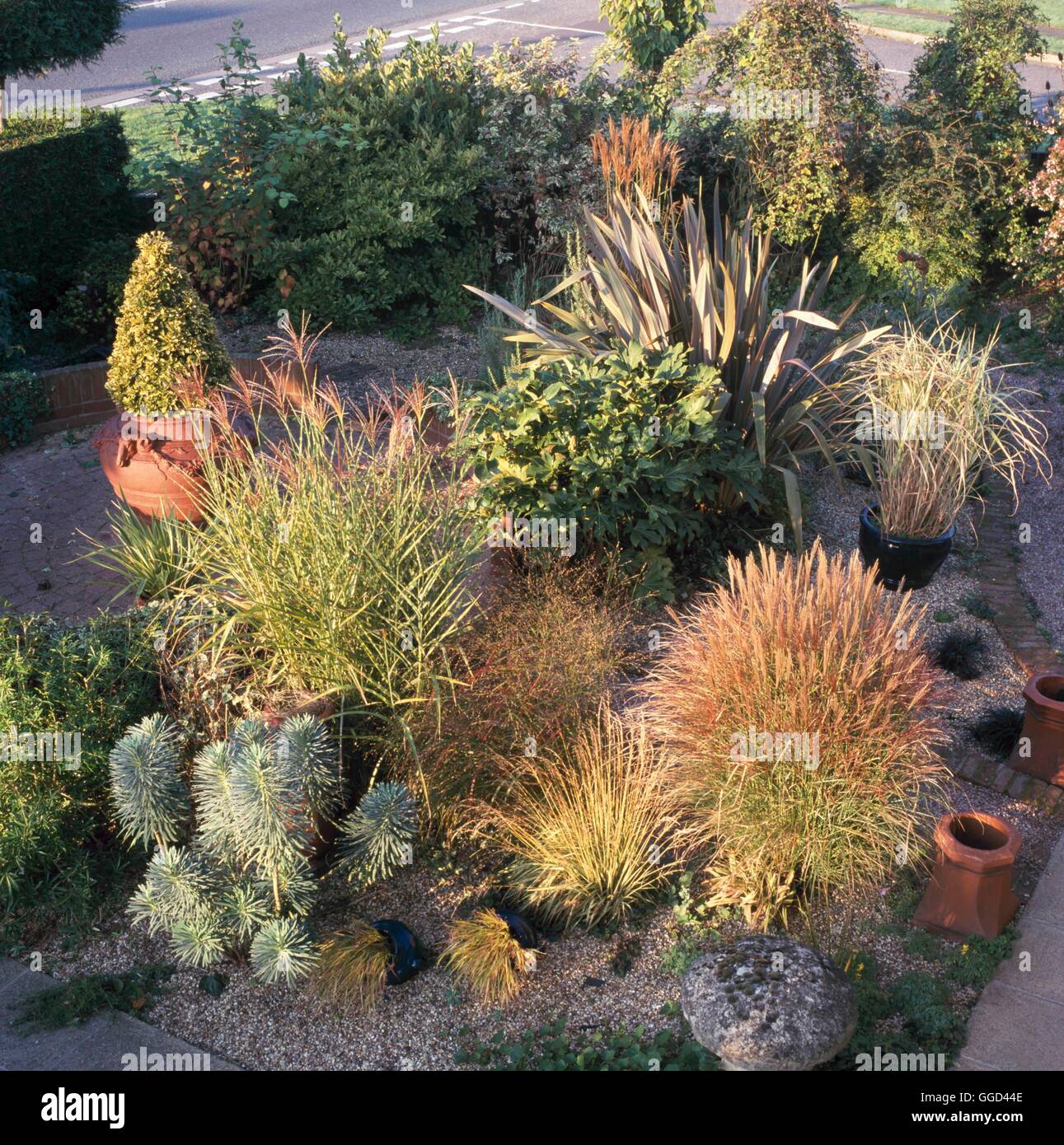 Grasses Gravel Garden Hi res Stock Photography And Images Alamy grasses-gravel-garden-hi-res-stock-photography-and-images-alamy