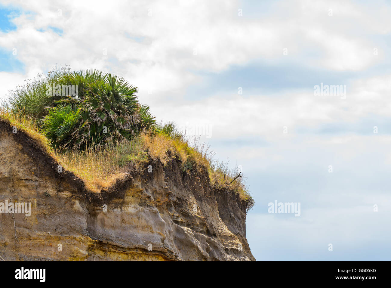 sedimentary rock with plants and cloudly blue sky Stock Photo
