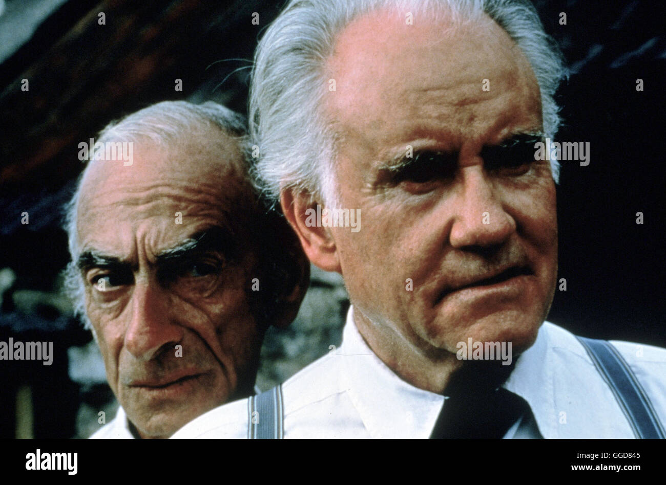 LANG LEBE NED DEVINE / Waking Ned IR/GB 1998 / Die beiden irischen Rentner Jackie O'Shea (IAN