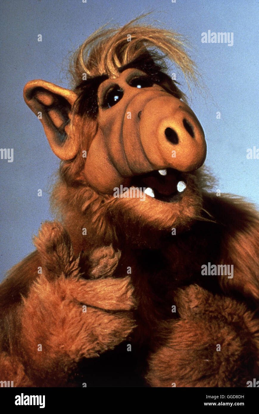 ALF / Alf - Auf Verbrecherjagd, Teil 2 USA 1987 / Gary Shimokawa ALF auf Verbrecherjagd Regie: Gary Shimokawa aka. Alf - Auf Verbrecherjagd, Teil 2 Stock Photo