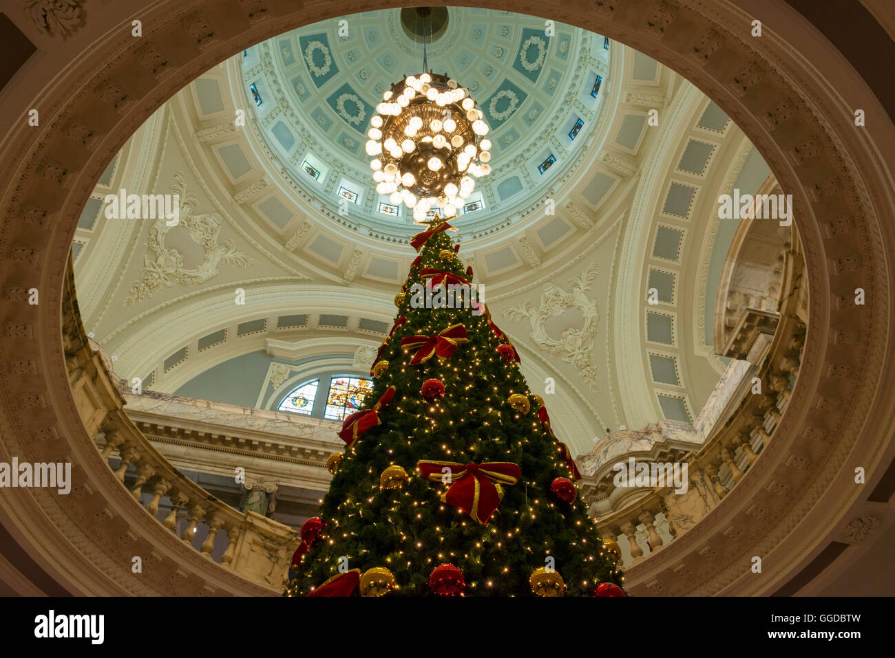 Christmas Tree in the Royal Opera House, Belfast Stock Photo Alamy