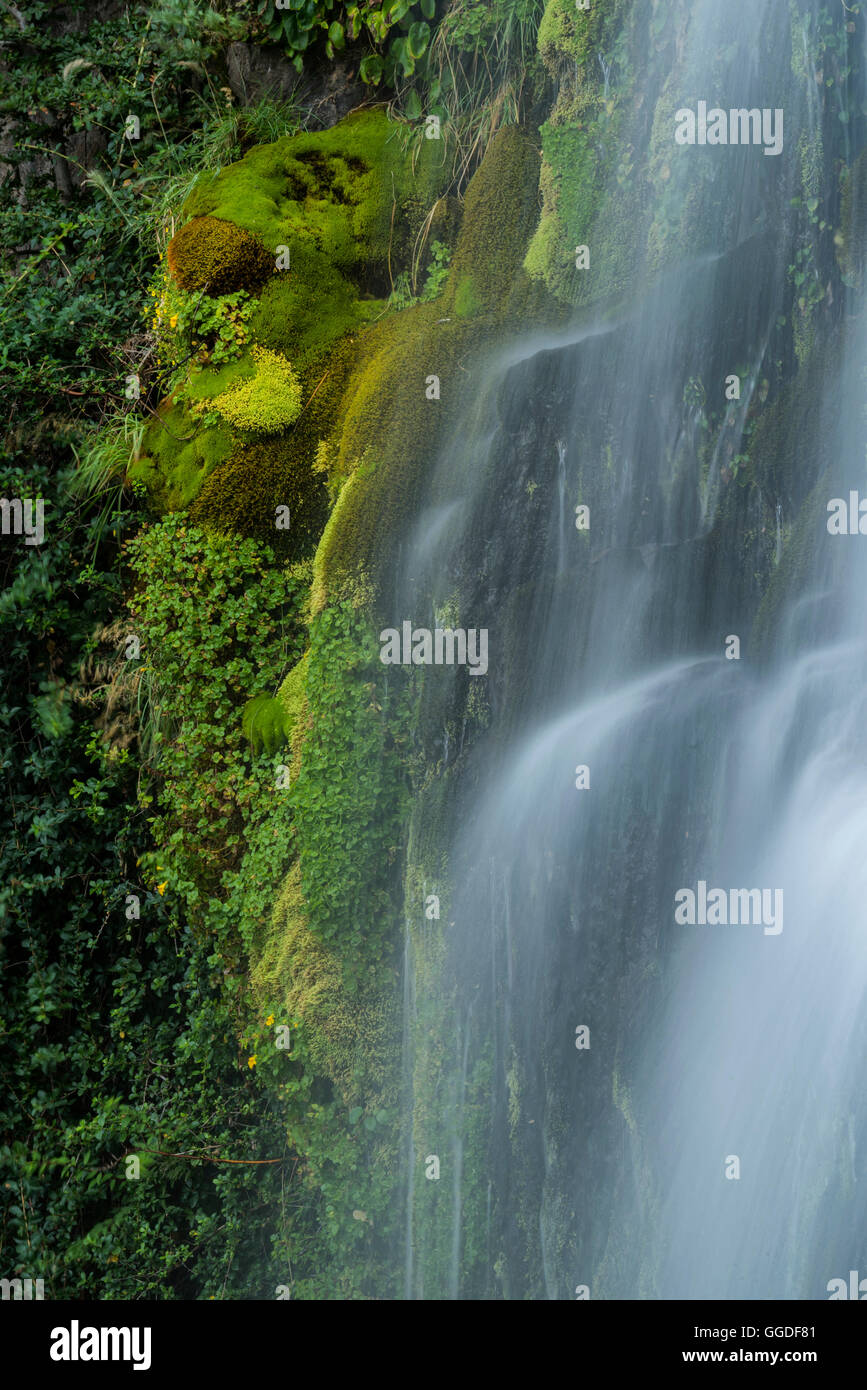 South America; Argentina, Patagonia, Rio Negro, Esquel, Waterfall, National Park Los Alerces Stock Photo