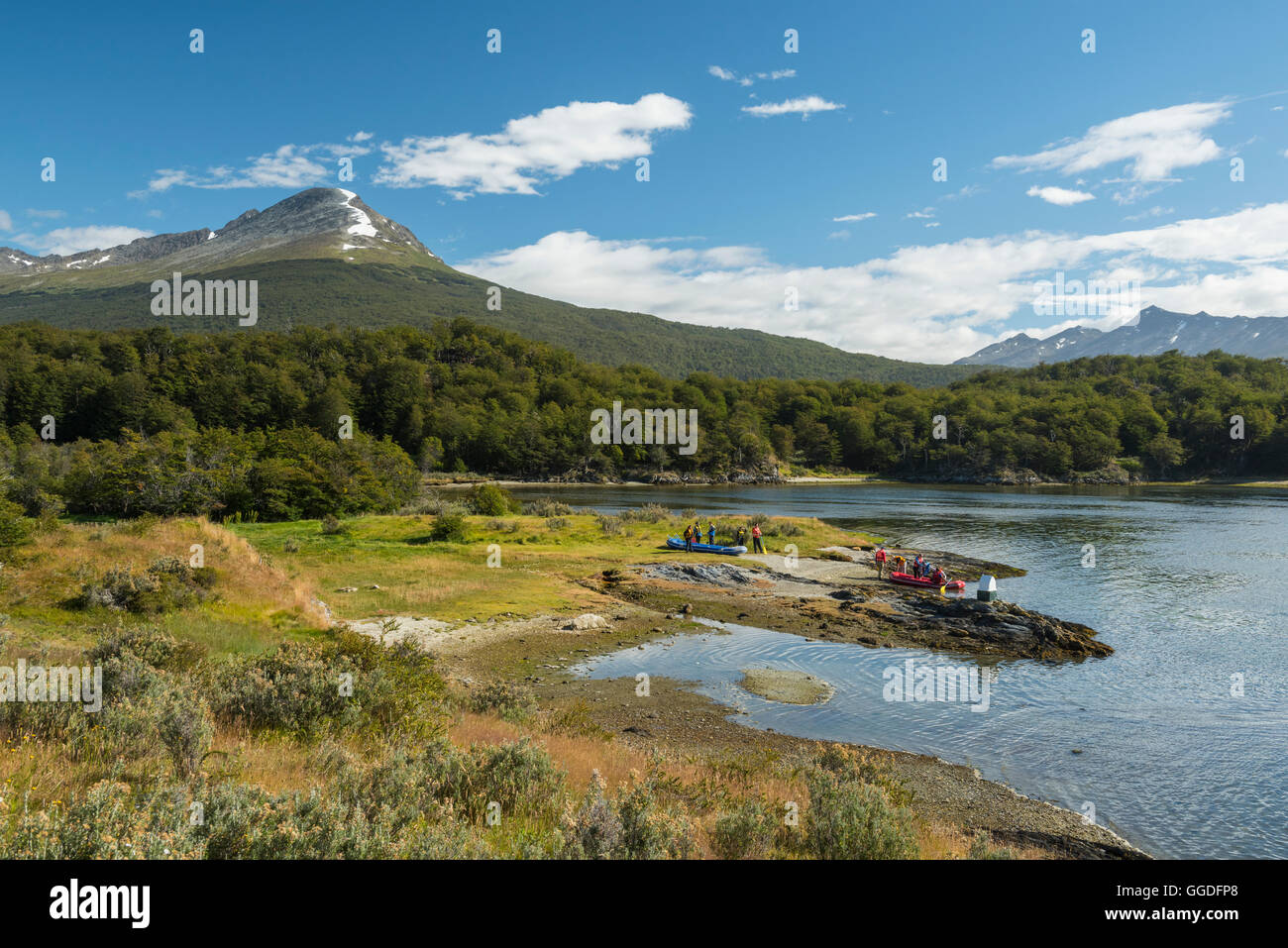 South America; Tierra del Fuego, Argentina, Ushuaia, Tierra del Fuego National Park Stock Photo