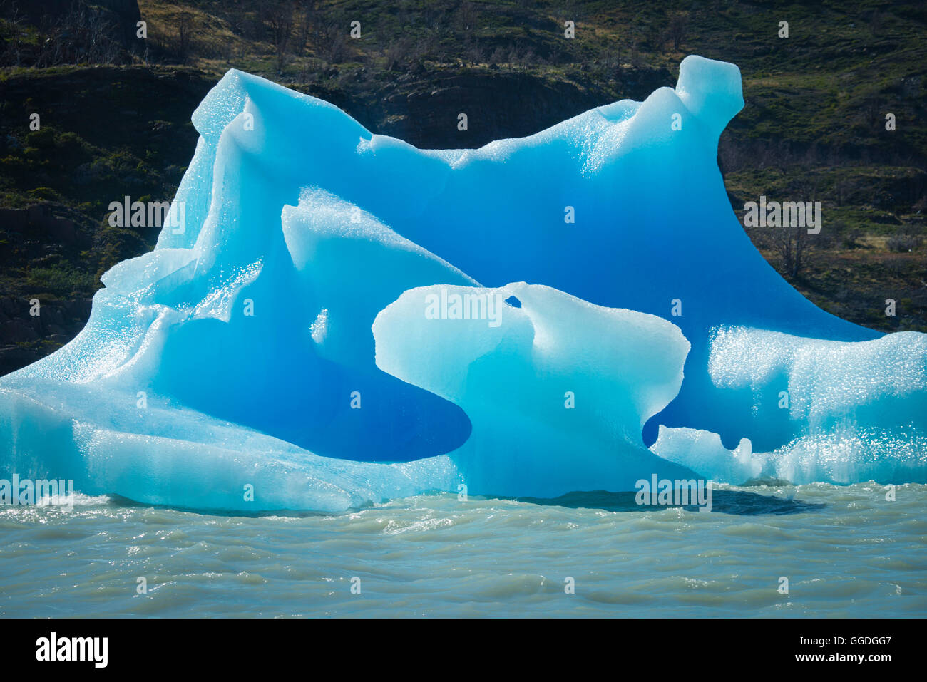 South America; Patagonia; Chile; Torres del Paine; National Park; UNESCO; World Heritage,Lago Grey iceberg Stock Photo