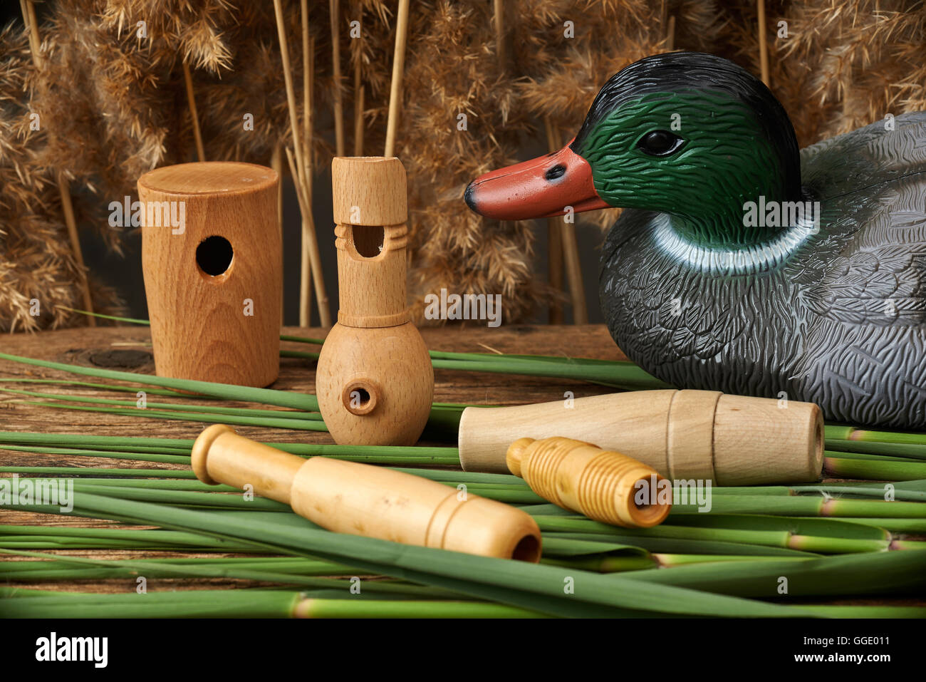 Hunting. Duck decoys and wooden whistles on the reeds Stock Photo - Alamy Hunting. Duck decoys and wooden whistles on the reeds Stock Photo - Alamy