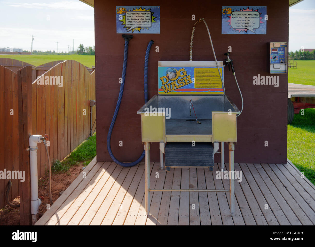 Dog wash station Stock Photo Alamy