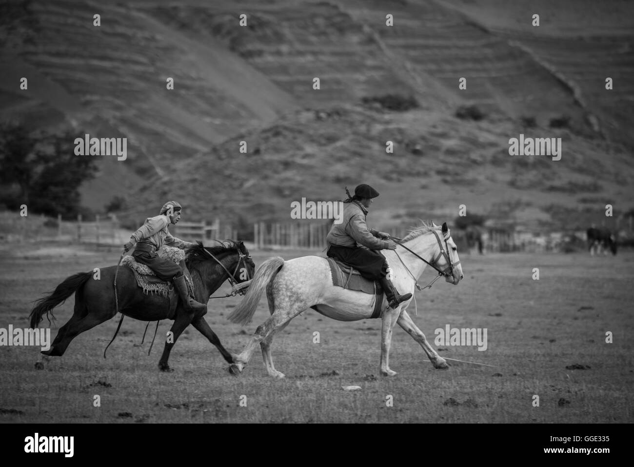 South America, Patagonia, Chile, Torres del Paine, National Park, UNESCO, World Heritage, gaucho, rider, horseback, cowboy Stock Photo