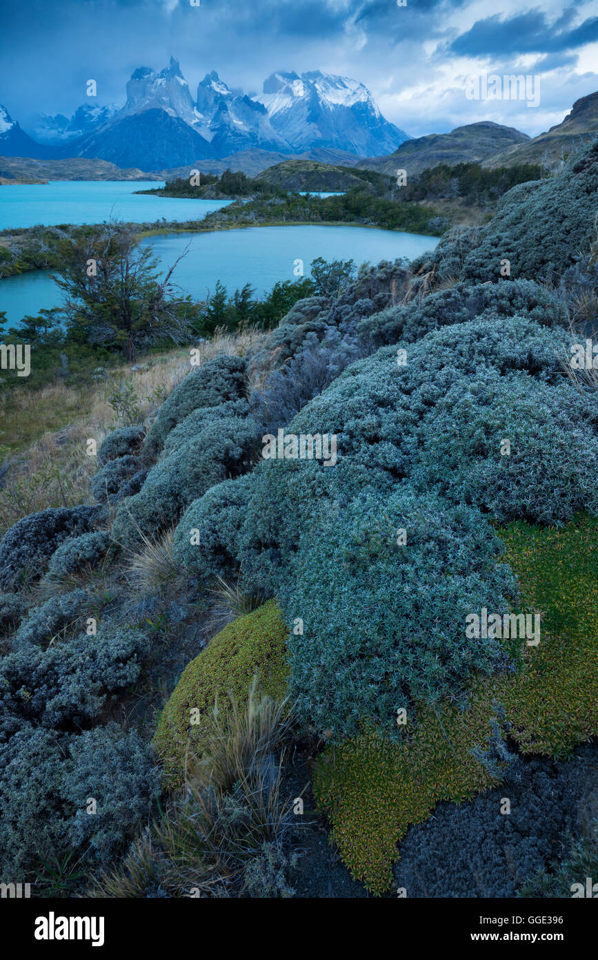 South America; Patagonia; Chile; Torres del Paine; National Park; UNESCO; World Heritage, Cuernos del Paine, Stock Photo