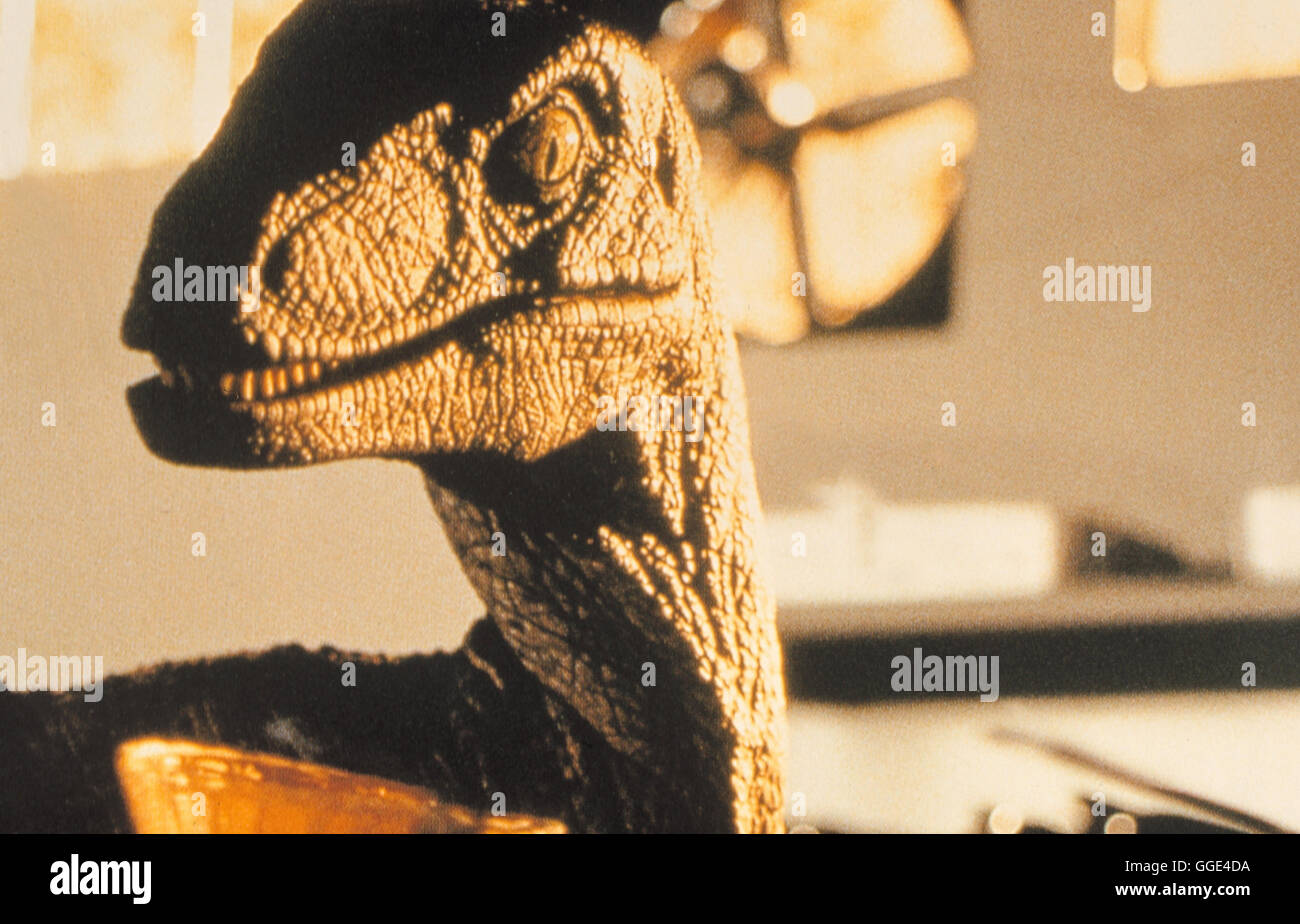 Jurassic Park Jurassic Park Usa 1993 Steven Spielberg Filmszene Aus Jurassic Park 1993 Regie Steven Spielberg Aka Jurassic Park Stock Photo Alamy