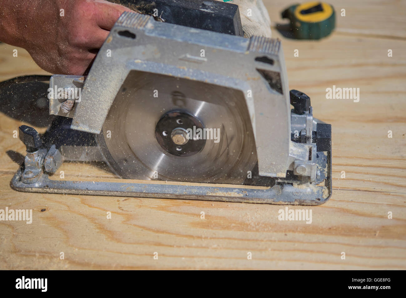 Carpenter cuts a circular saw plywood Stock Photo Alamy