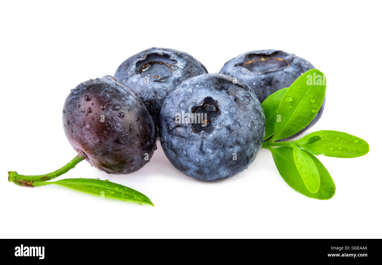 natural picked blueberries with leaves on white Stock Photo