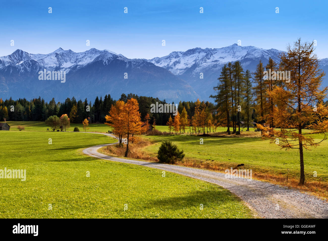 Autumn scenery of Miemenger Plateau with snow covered mountains in the background. Austria, Europe, Tyrol. Stock Photo