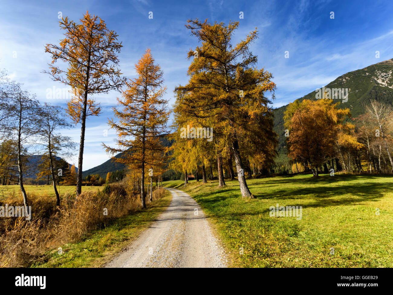 Path through autumn mountain landscape. Mieminger Plateau, Austria,Tyrol. Stock Photo