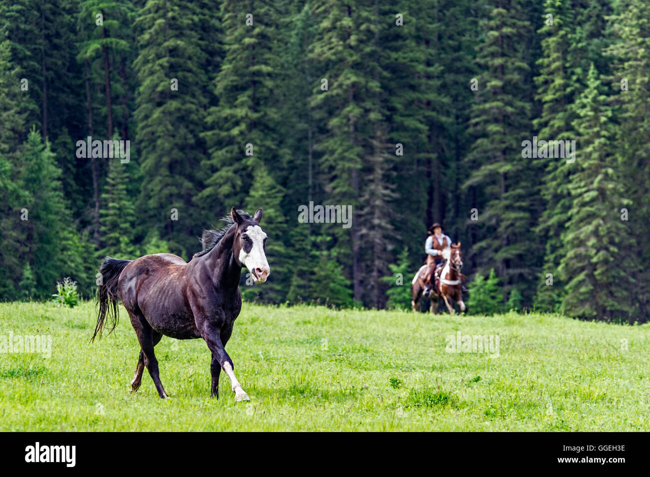 Round hand up hi-res stock photography and images - Alamy