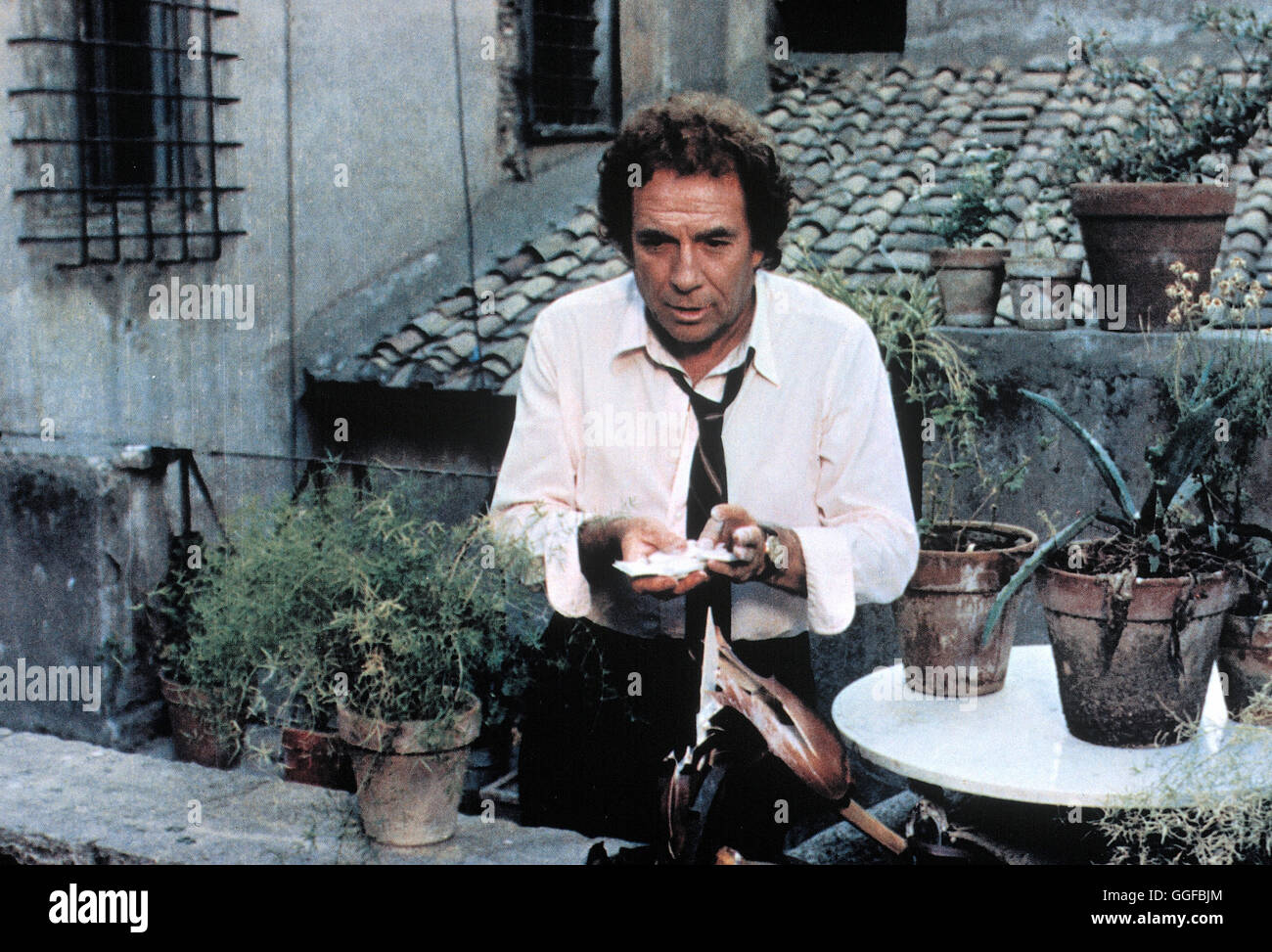 DER KATER LÄSST DAS MAUSEN NICHT / Il Gatto Italien 1977 / Luigi Comencini UGO TOGNAZZI (Amadeo