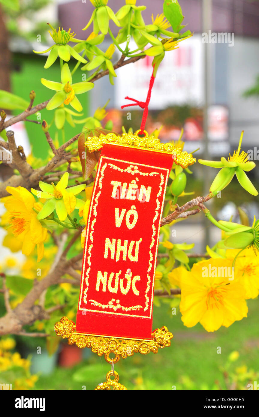 Slogan for the Tet new year Stock Photo