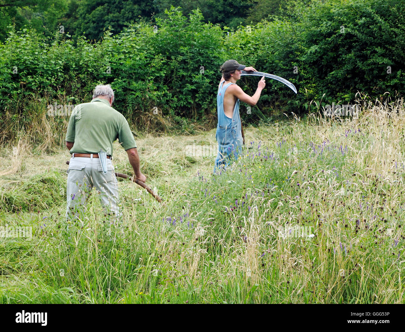 Grass Scythe Cutting Demonstration