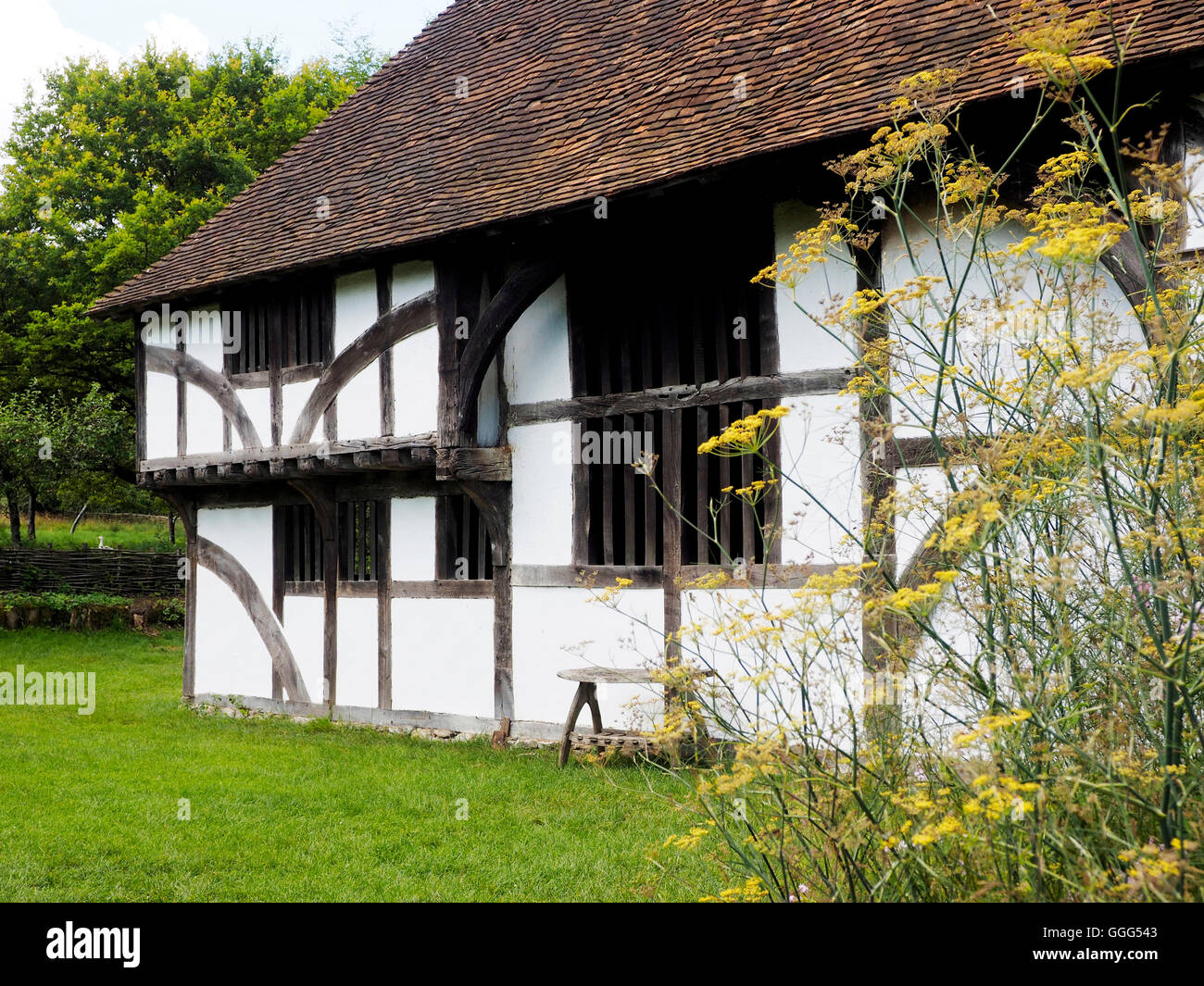 Bayleaf Farmhouse, an early 16th century hall-house timber framed building at Weald & Downland Museum, Sussex. Stock Photo