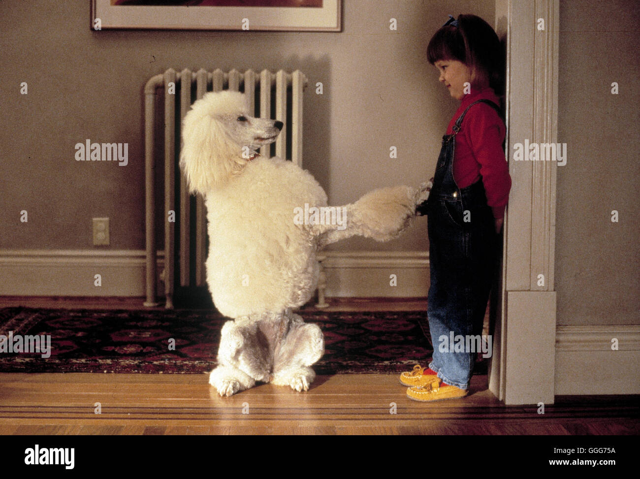 KUCK' MAL, WER DA JETZT SPRICHT / Look who's talking now USA 1993 / Tom Ropelewski Pudeldame