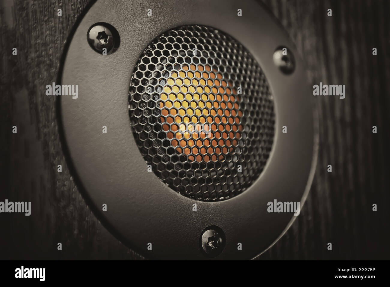 Tweeter. Element speaker system Stock Photo - Alamy