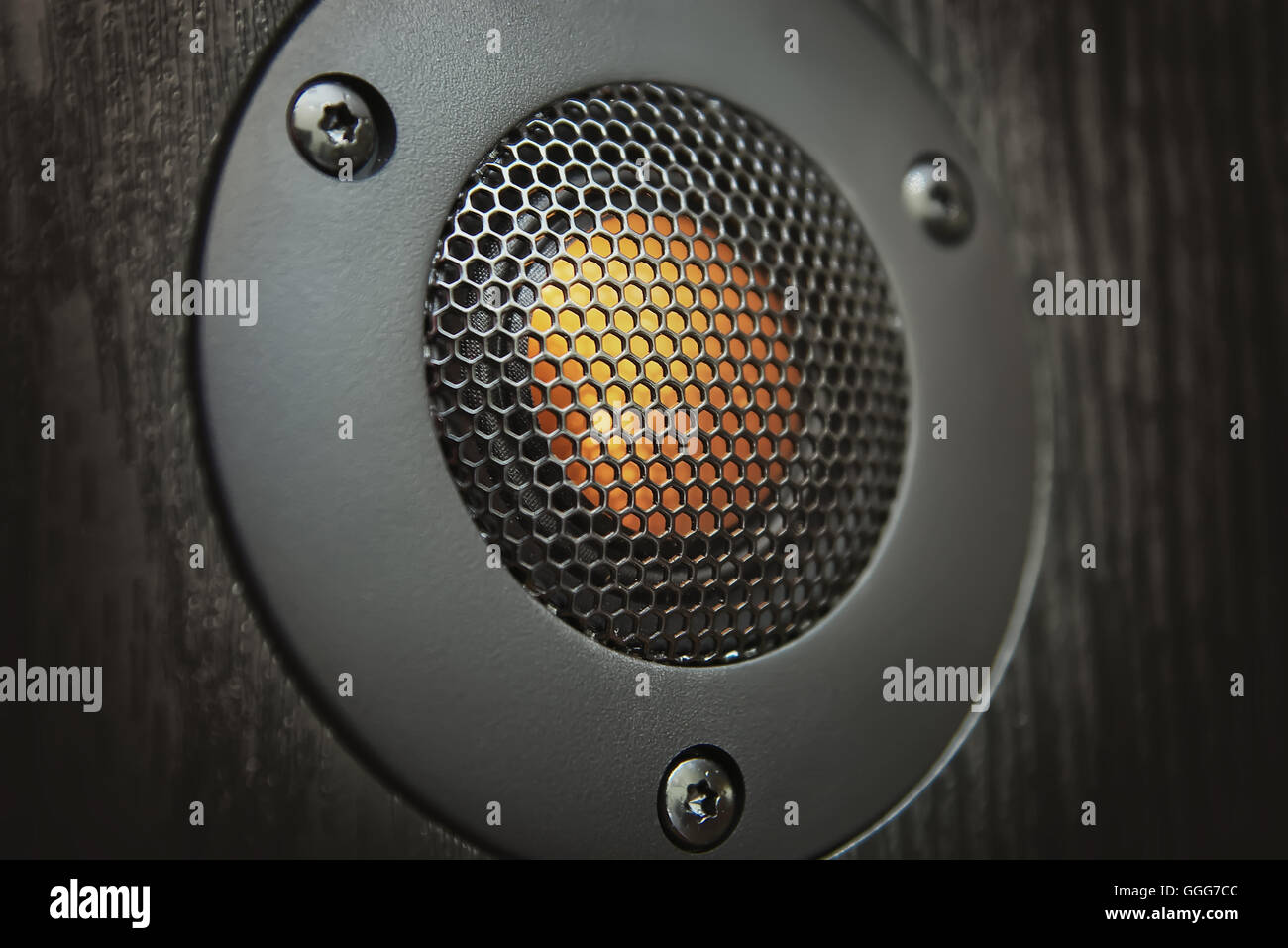 Tweeter. Element speaker system Stock Photo
