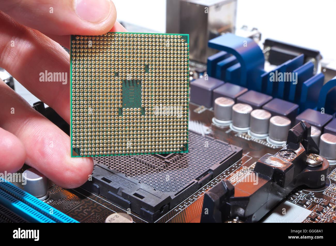 CPU in hand and motherboard. Installation central microprocessor in motherboard Stock Photo