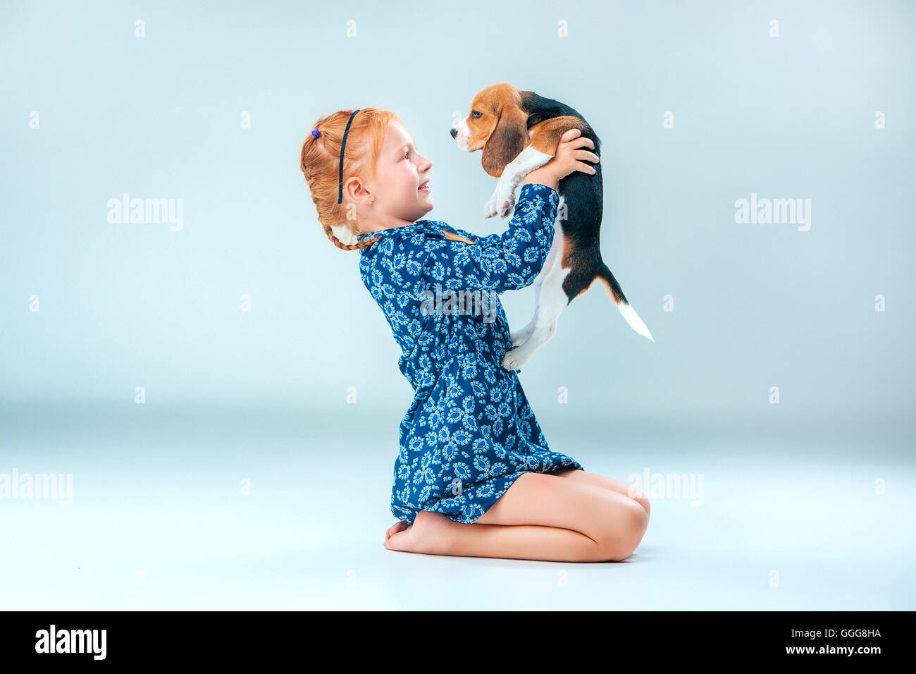 The happy girl and a beagle puppie on gray background Stock Photo