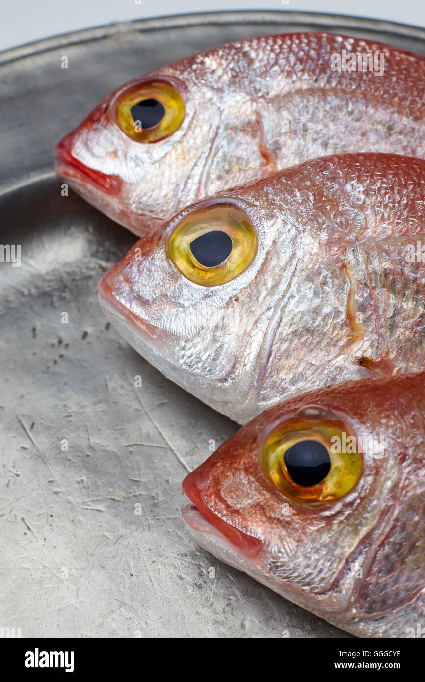 Fresh fish, red snapper in a plate Stock Photo - Alamy