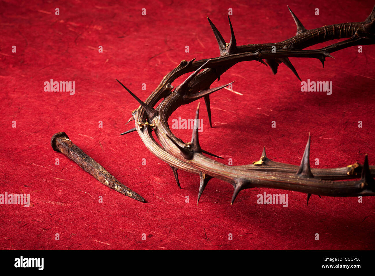 week of passion. Jesus Christ crown of thorns and a nail on red background Stock Photo