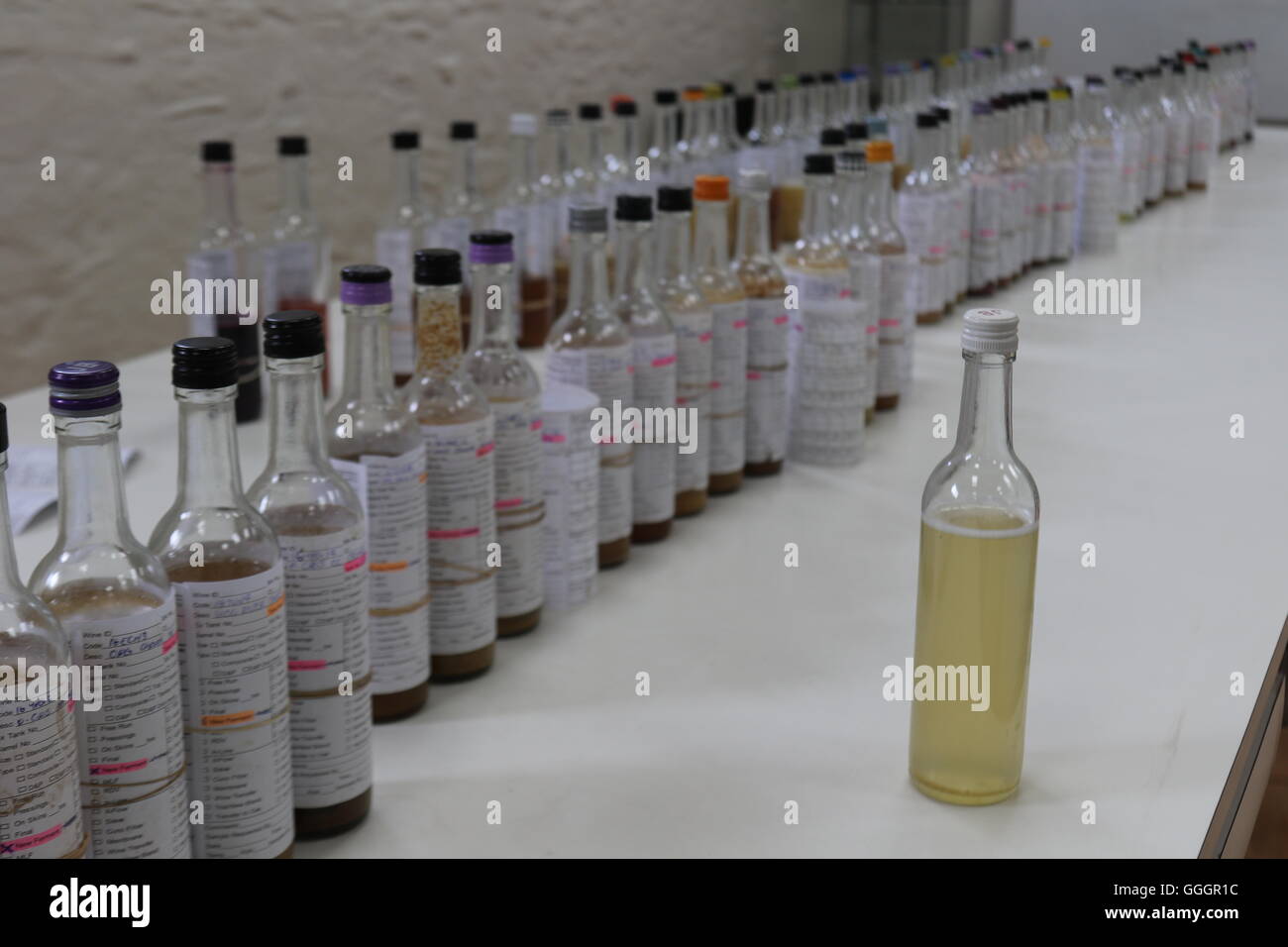 Bottles of wine samples in a winery at Pewsey Vale Wines, Eden Valley
