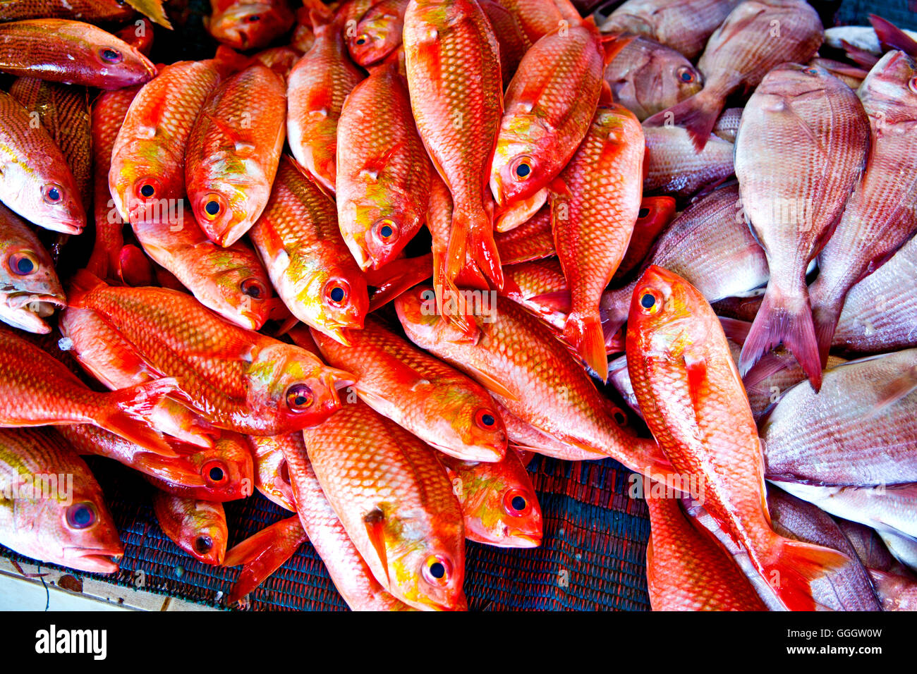 Muscat Fish Vendees High Resolution Stock Photography and Images - Alamy