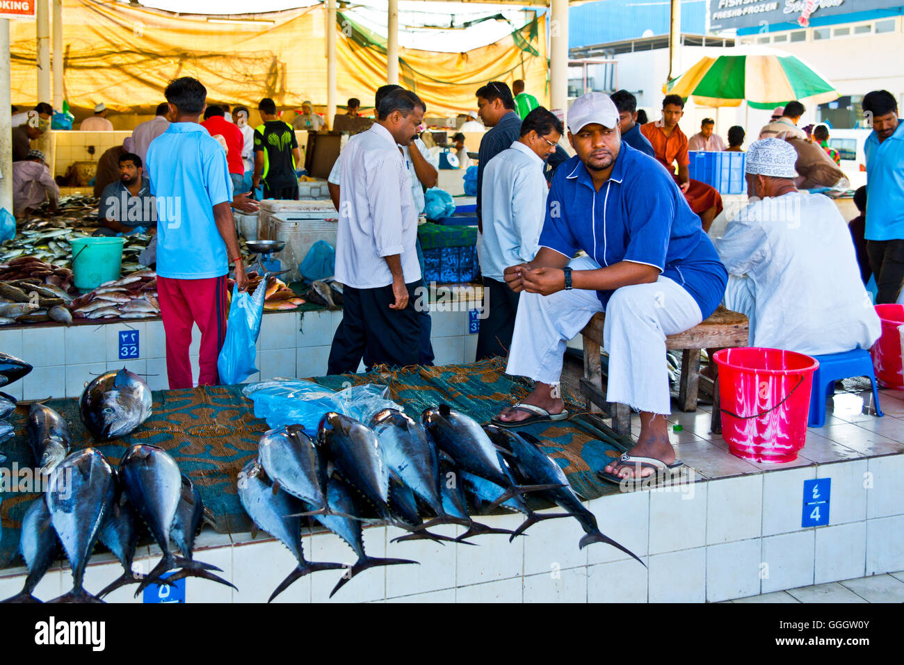 Muscat Fish geography / travel, Oman, Sultanate of Oman, Muscat, fish market Mutrah ...