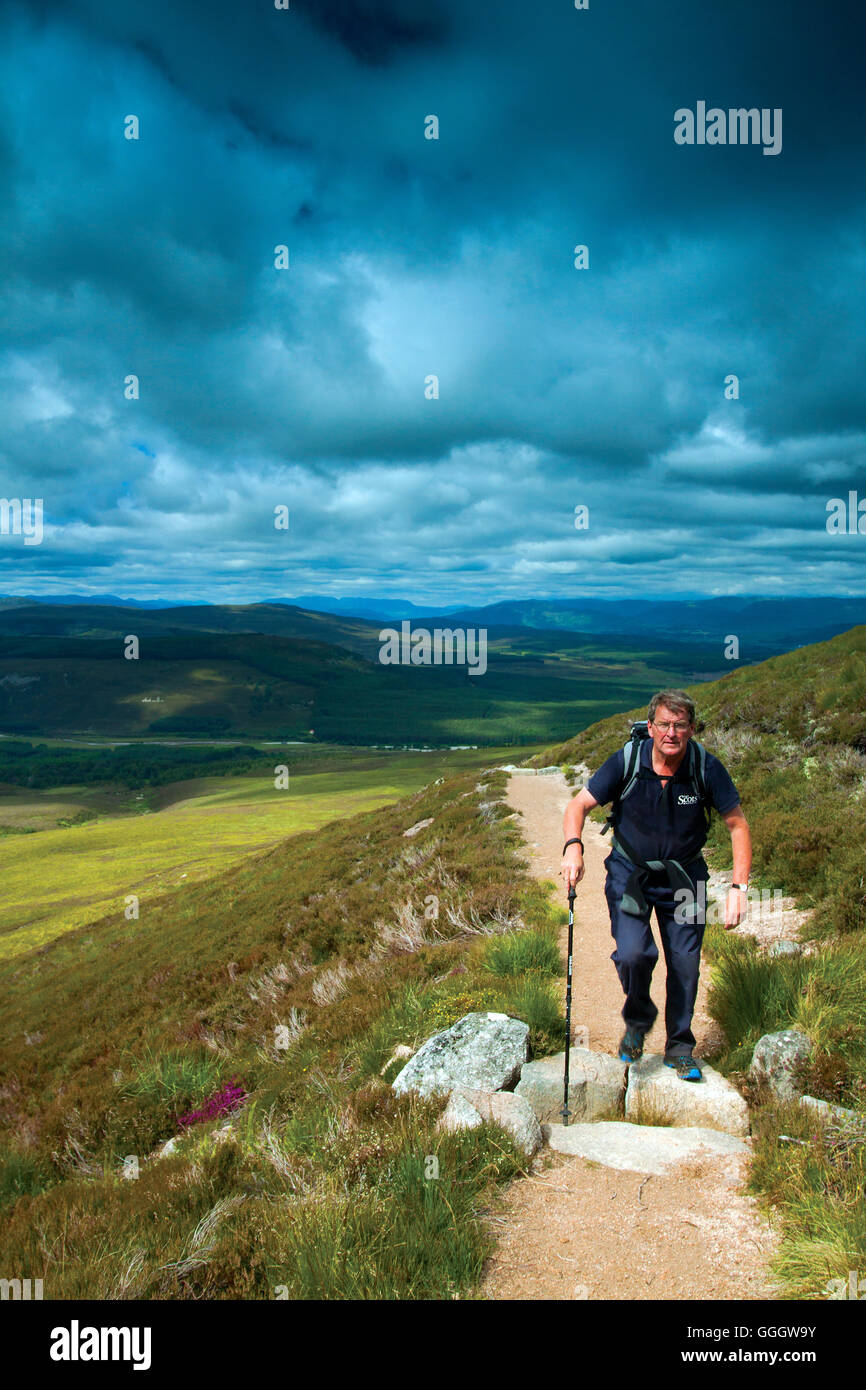 Glen Feshie from Carn Ban Mor, Cairngorm National Park Stock Photo