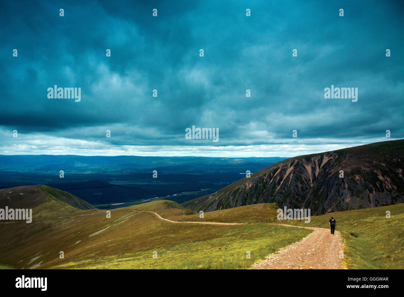 The cairngorms glen feshie scotland hi-res stock photography and images ...