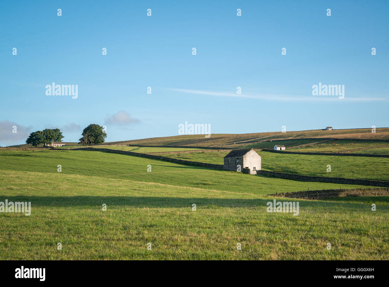 Early-morning Teesdale landscape Stock Photo