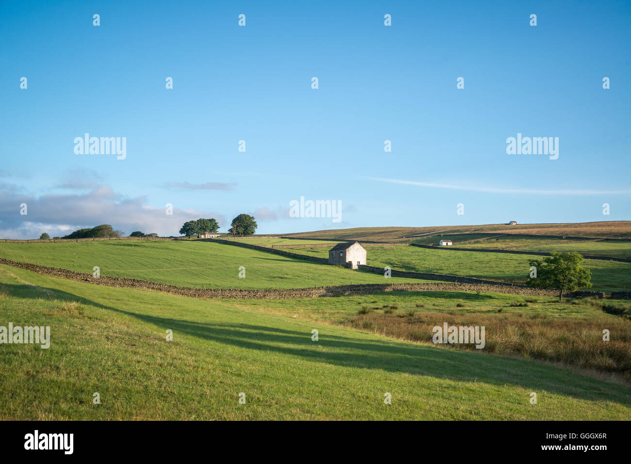 Teesdale, near ForestinTeesdale Stock Photo Alamy