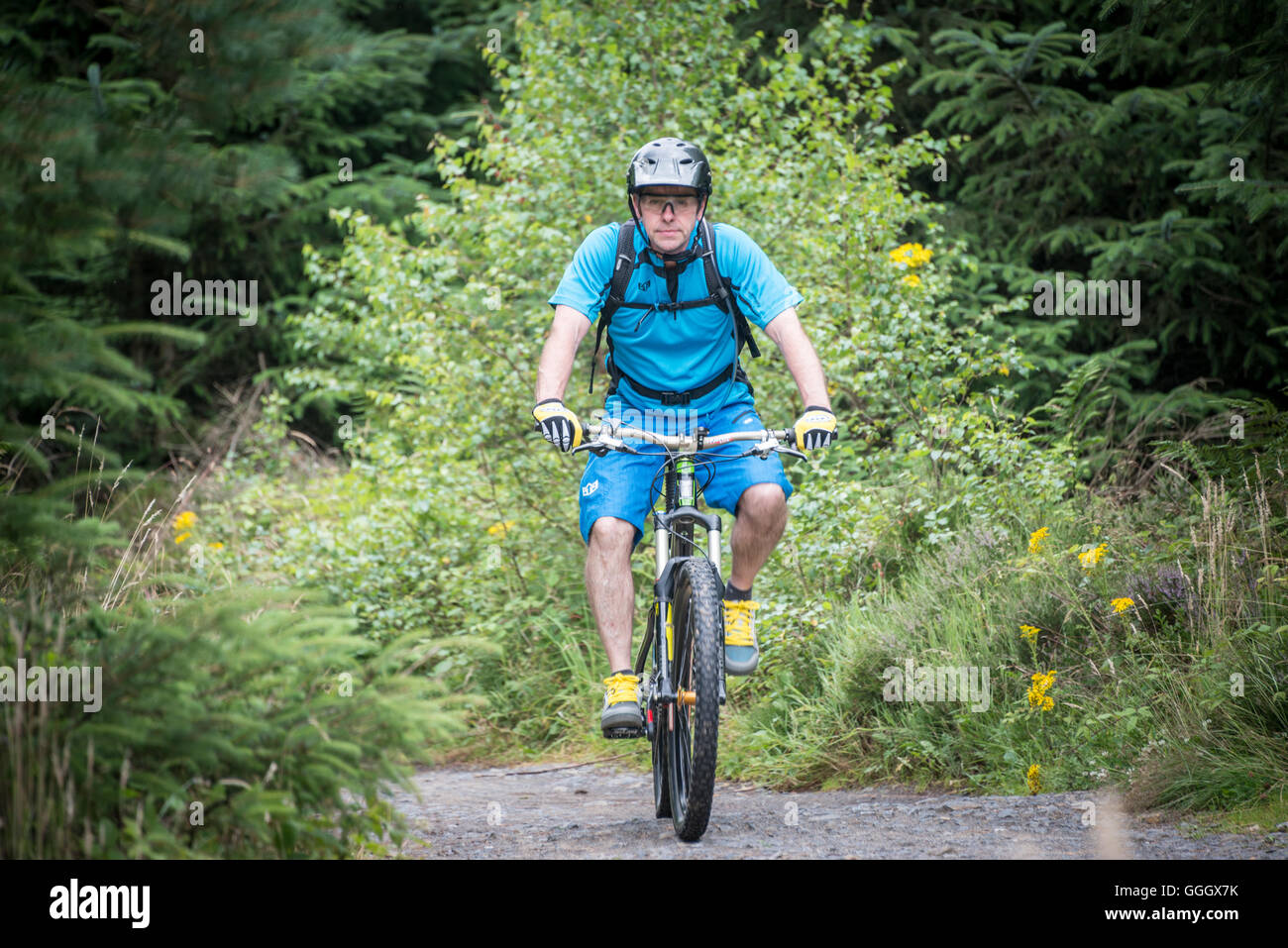 Cycling at Hamsterley Forest, County Durham, UK Stock Photo
