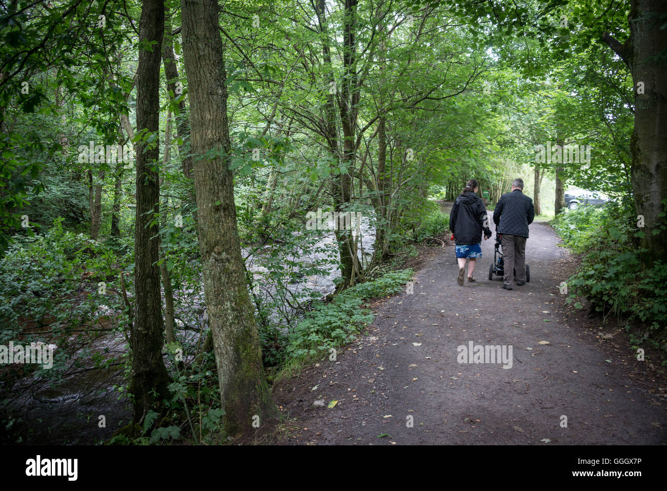 Walking at Hamsterley Forest, County Durham Stock Photo