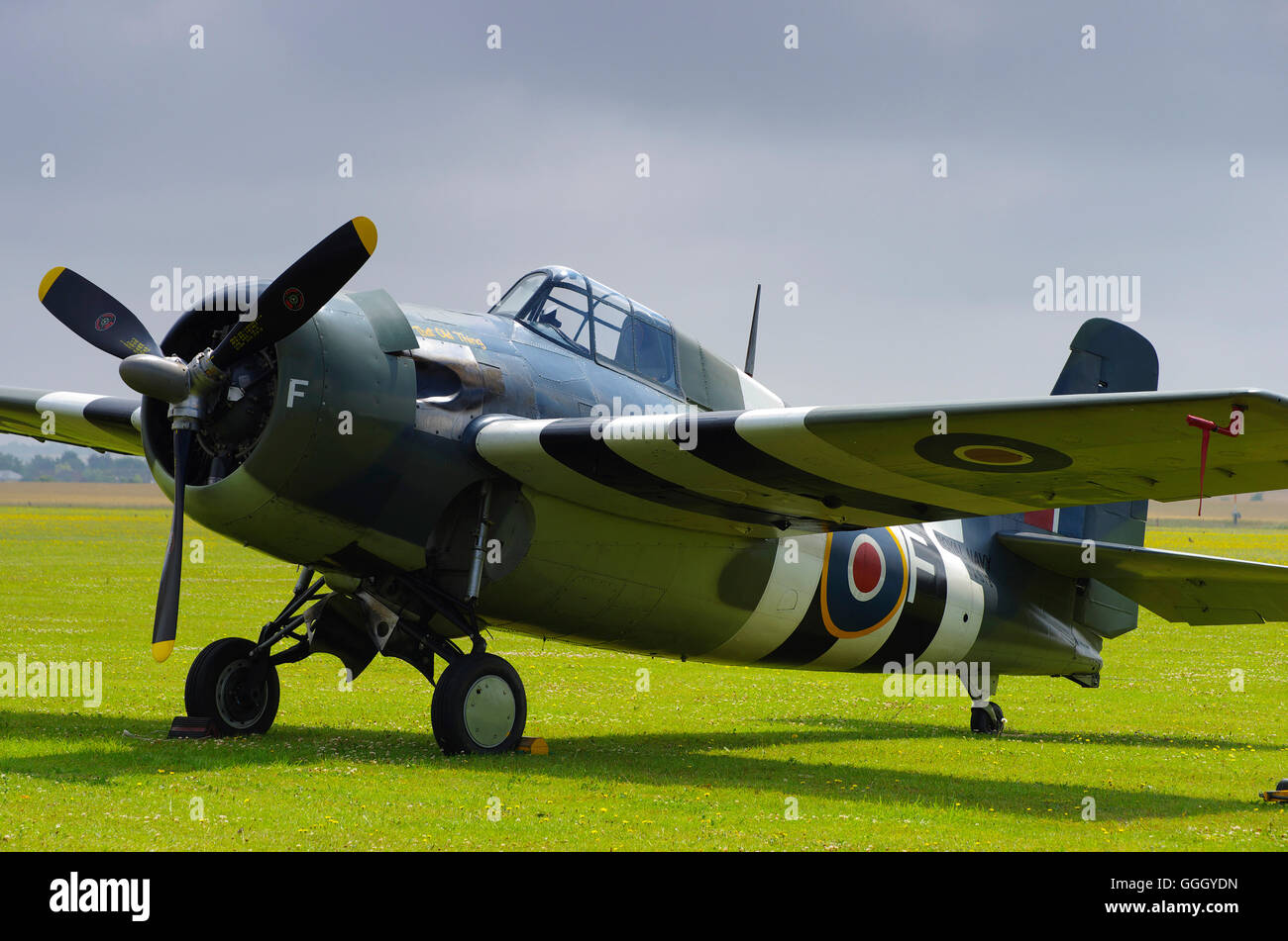 Grumman Martlet FM-2 (Wildcat) G-RUMW, JV579, at Duxford Cambridgeshire, Stock Photo