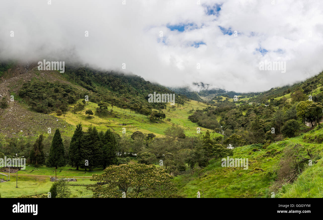 Lush green of east slope Andes. Ecuador, South America. Stock Photo